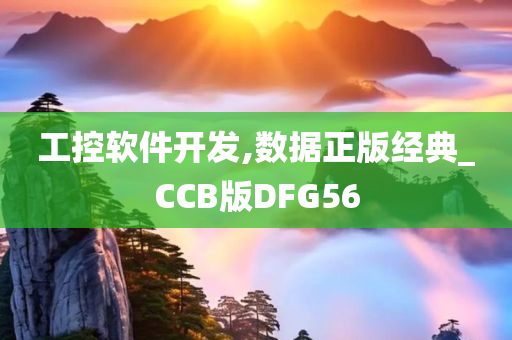 工控软件开发,数据正版经典_CCB版DFG56