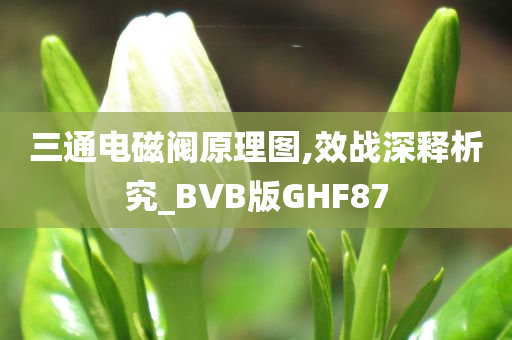 三通电磁阀原理图,效战深释析究_BVB版GHF87