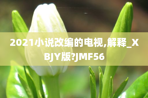 2021小说改编的电视,解释_XBJY版?JMF56