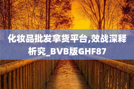 化妆品批发拿货平台,效战深释析究_BVB版GHF87