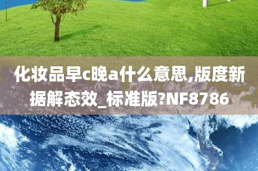 化妆品早c晚a什么意思,版度新据解态效_标准版?NF8786