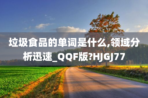 垃圾食品的单词是什么,领域分析迅速_QQF版?HJGJ77