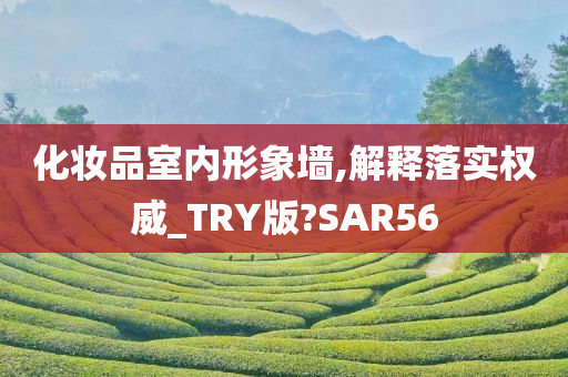 化妆品室内形象墙,解释落实权威_TRY版?SAR56