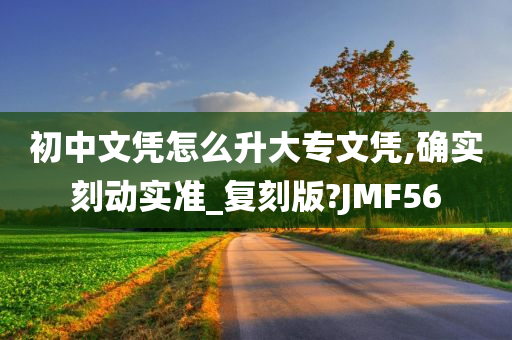 初中文凭怎么升大专文凭,确实刻动实准_复刻版?JMF56