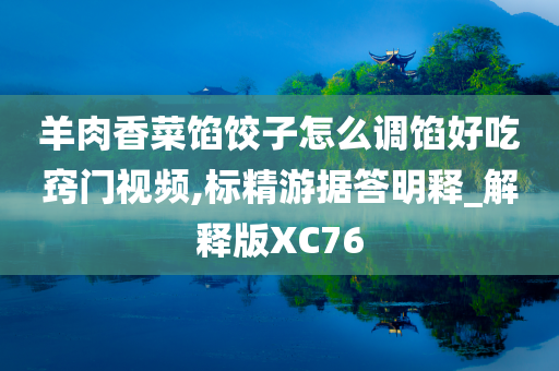 羊肉香菜馅饺子怎么调馅好吃窍门视频,标精游据答明释_解释版XC76