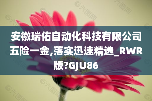 安徽瑞佑自动化科技有限公司五险一金,落实迅速精选_RWR版?GJU86