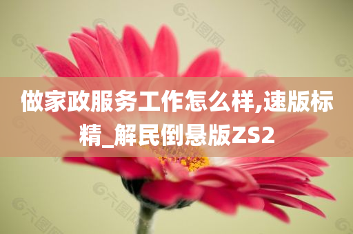 做家政服务工作怎么样,速版标精_解民倒悬版ZS2