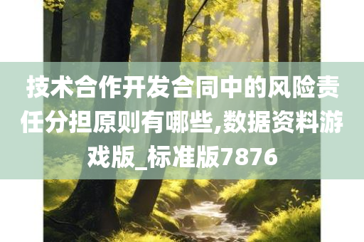 技术合作开发合同中的风险责任分担原则有哪些,数据资料游戏版_标准版7876