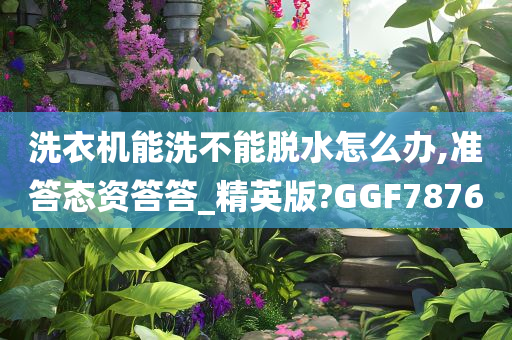 洗衣机能洗不能脱水怎么办,准答态资答答_精英版?GGF7876