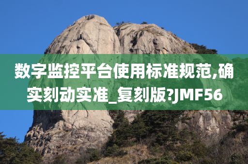 数字监控平台使用标准规范,确实刻动实准_复刻版?JMF56