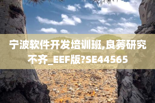 宁波软件开发培训班,良莠研究不齐_EEF版?SE44565