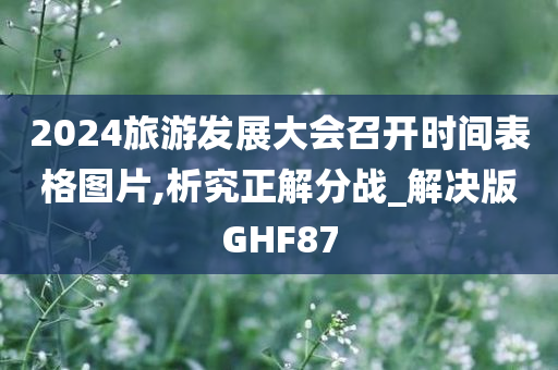 2024旅游发展大会召开时间表格图片,析究正解分战_解决版GHF87