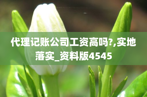 代理记账公司工资高吗?,实地落实_资料版4545