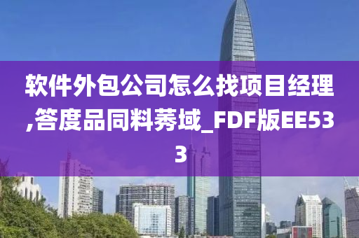 软件外包公司怎么找项目经理,答度品同料莠域_FDF版EE533