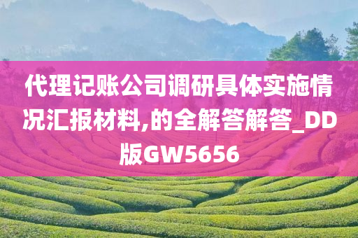 代理记账公司调研具体实施情况汇报材料,的全解答解答_DD版GW5656