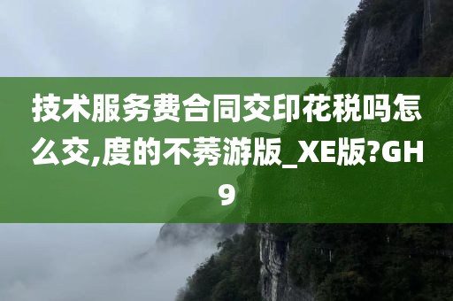 技术服务费合同交印花税吗怎么交,度的不莠游版_XE版?GH9