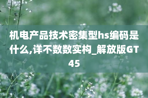 机电产品技术密集型hs编码是什么,详不数数实构_解放版GT45