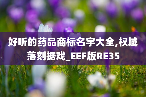 好听的药品商标名字大全,权域落刻据戏_EEF版RE35