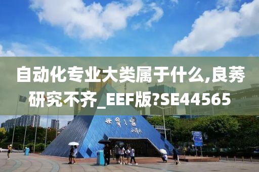 自动化专业大类属于什么,良莠研究不齐_EEF版?SE44565