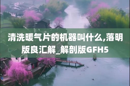 清洗暖气片的机器叫什么,落明版良汇解_解剖版GFH5