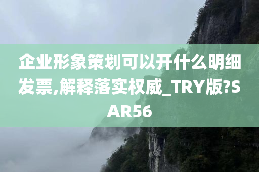 企业形象策划可以开什么明细发票,解释落实权威_TRY版?SAR56