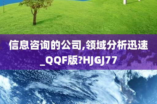 信息咨询的公司,领域分析迅速_QQF版?HJGJ77