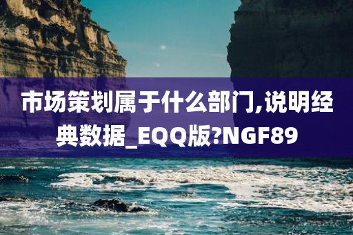 市场策划属于什么部门,说明经典数据_EQQ版?NGF89