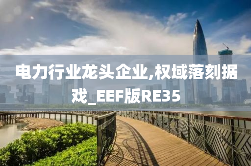 电力行业龙头企业,权域落刻据戏_EEF版RE35