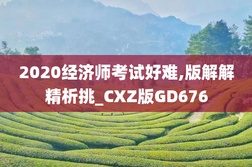 2020经济师考试好难,版解解精析挑_CXZ版GD676