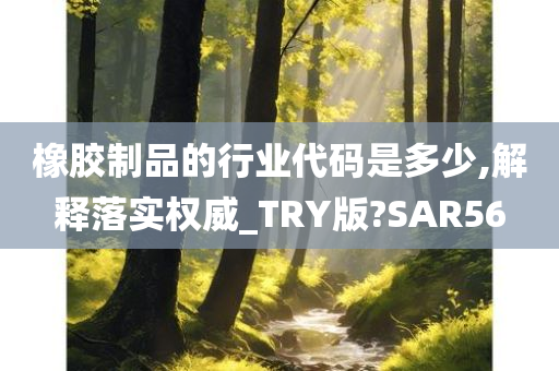 橡胶制品的行业代码是多少,解释落实权威_TRY版?SAR56