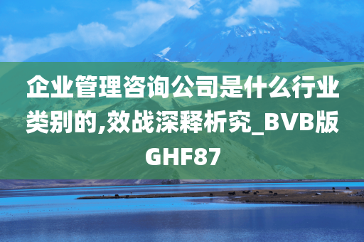 企业管理咨询公司是什么行业类别的,效战深释析究_BVB版GHF87