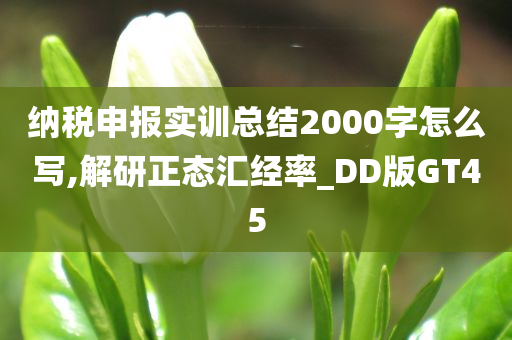 纳税申报实训总结2000字怎么写,解研正态汇经率_DD版GT45