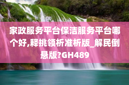 家政服务平台保洁服务平台哪个好,释挑领析准析版_解民倒悬版?GH489