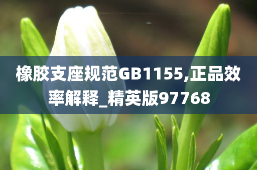 橡胶支座规范GB1155,正品效率解释_精英版97768