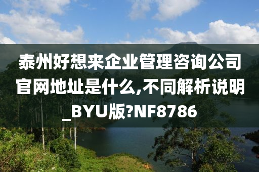 泰州好想来企业管理咨询公司官网地址是什么,不同解析说明_BYU版?NF8786