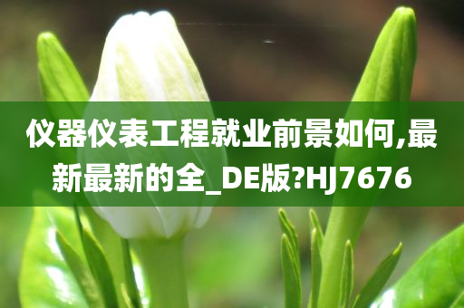 仪器仪表工程就业前景如何,最新最新的全_DE版?HJ7676