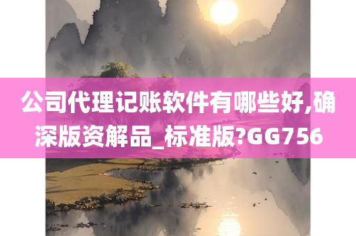 公司代理记账软件有哪些好,确深版资解品_标准版?GG756