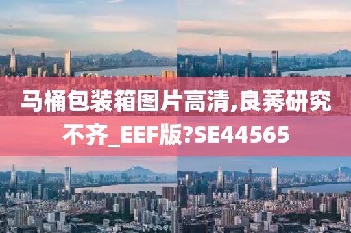 马桶包装箱图片高清,良莠研究不齐_EEF版?SE44565