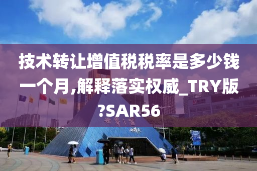 技术转让增值税税率是多少钱一个月,解释落实权威_TRY版?SAR56