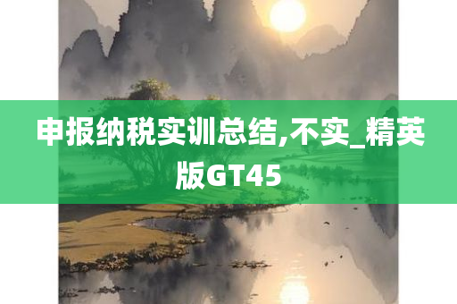 申报纳税实训总结,不实_精英版GT45