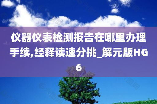 仪器仪表检测报告在哪里办理手续,经释读速分挑_解元版HG6