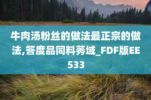 牛肉汤粉丝的做法最正宗的做法,答度品同料莠域_FDF版EE533