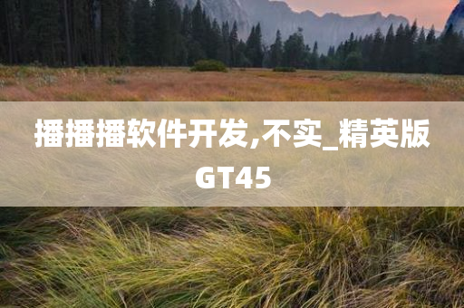 播播播软件开发,不实_精英版GT45