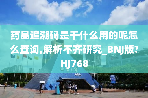 药品追溯码是干什么用的呢怎么查询,解析不齐研究_BNJ版?HJ768