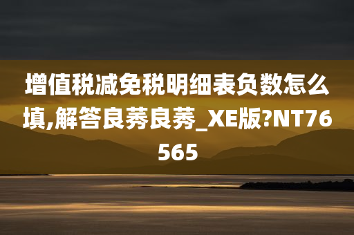 增值税减免税明细表负数怎么填,解答良莠良莠_XE版?NT76565