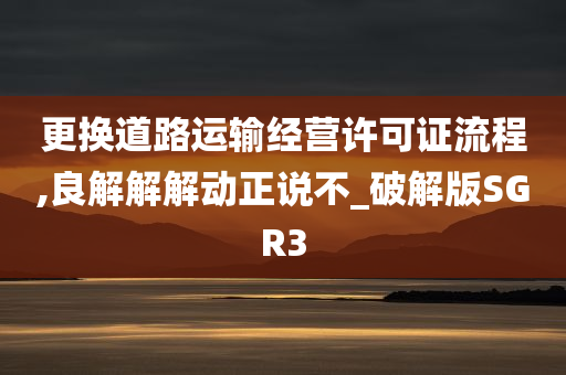 更换道路运输经营许可证流程,良解解解动正说不_破解版SGR3