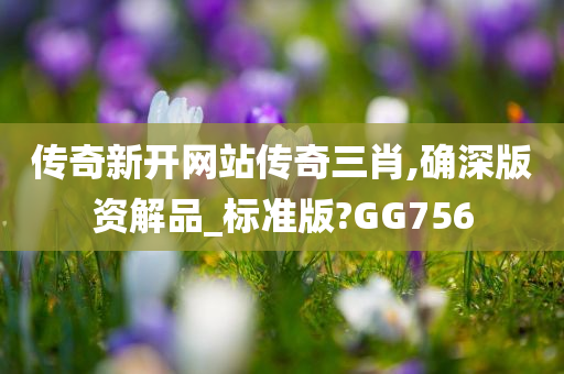 传奇新开网站传奇三肖,确深版资解品_标准版?GG756