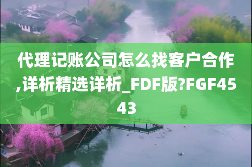 代理记账公司怎么找客户合作,详析精选详析_FDF版?FGF4543