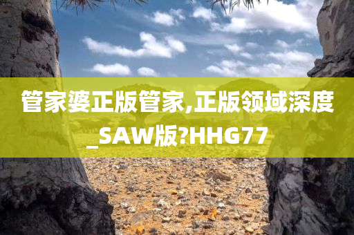 管家婆正版管家,正版领域深度_SAW版?HHG77