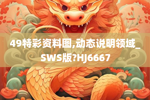 49特彩资料图,动态说明领域_SWS版?HJ6667